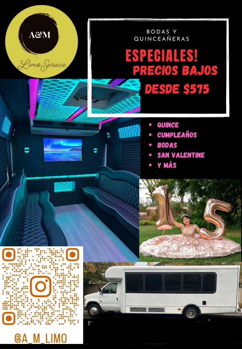 Ford E 450 Bus