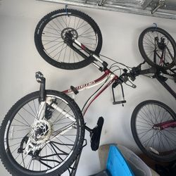 Specialized Mountain Bike 