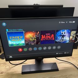 BenQ 22" IPS Monitor