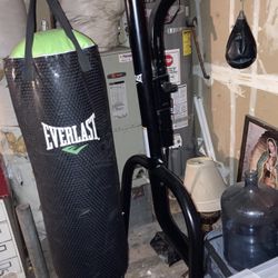 Everlast Boxing Stand With Speed Bag