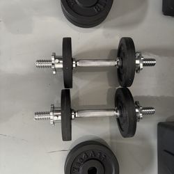 Exercise Weights