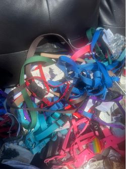 Dog and cat collars