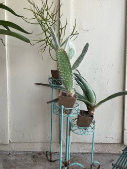 Plant extras