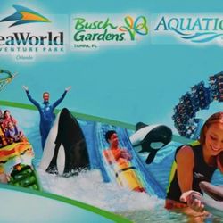 Seaworld Tickets