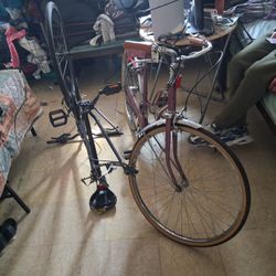 Roadmaster And Vintage Sears Spyder Bike-Purple  Bike Pack 