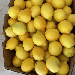 Boxes Of First Quality Lemon 🍋 