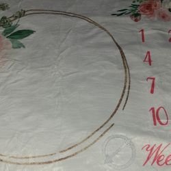 Girls Milestone Blanket 