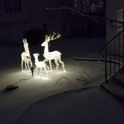 Reindeer Family Set