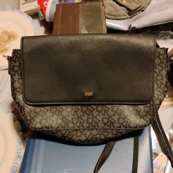 Dkny Purse
