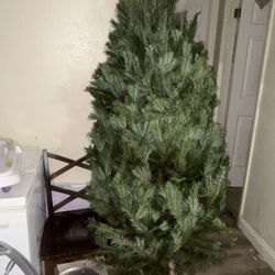 Real Christmas Tree
