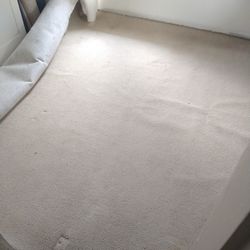 FREE Nice Berber Carpet With Pad 12 X 10