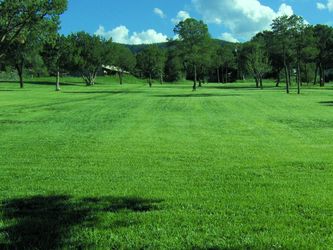 Lawn