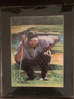 Tiger Woods 16”x20” Art - matted
