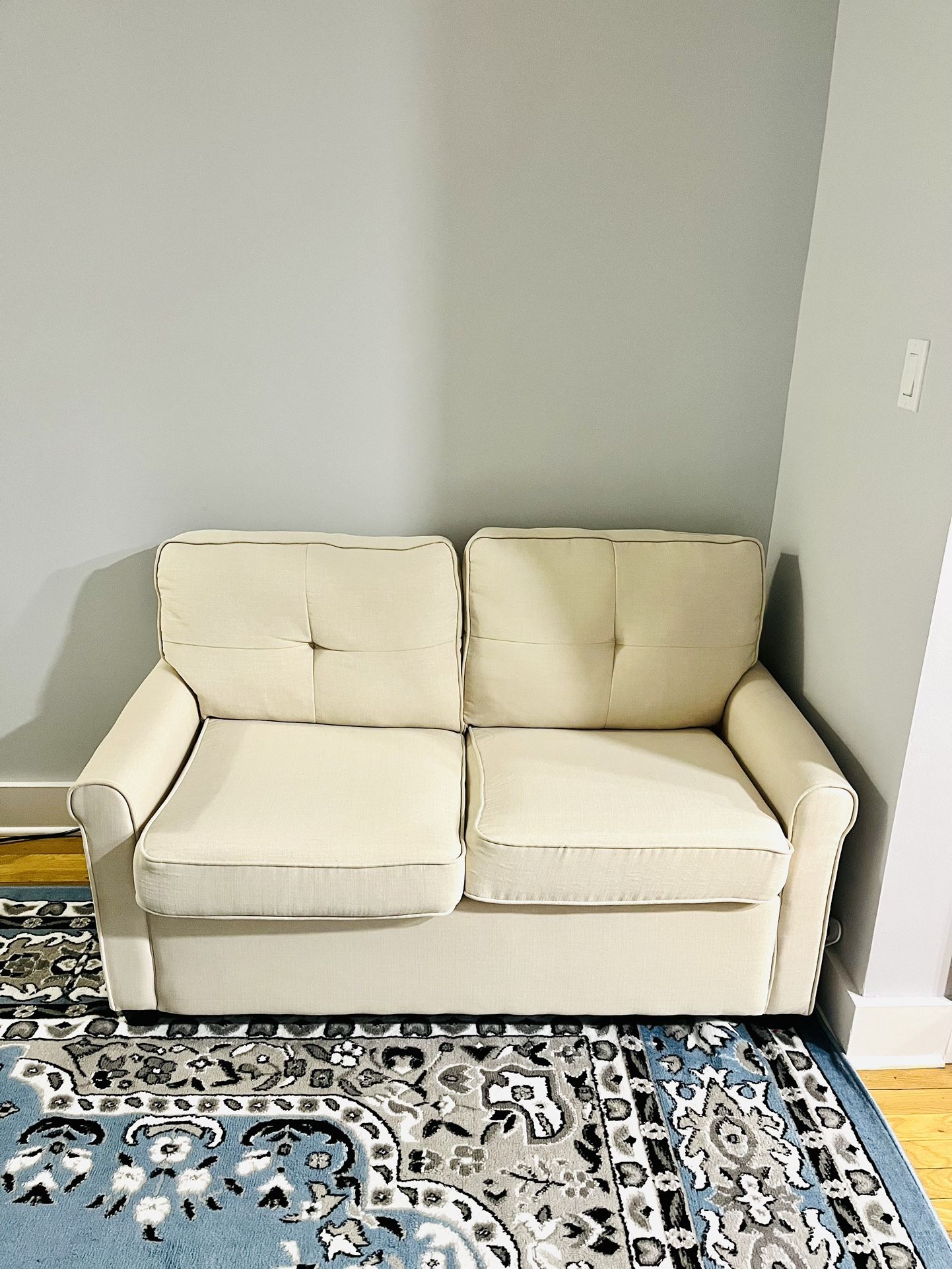 Loveseat Pullout Sleeper Sofa