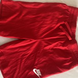 Little Boy Nike Fleece Shorts