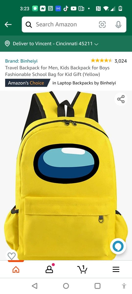 Backpack For Adults Or Kids