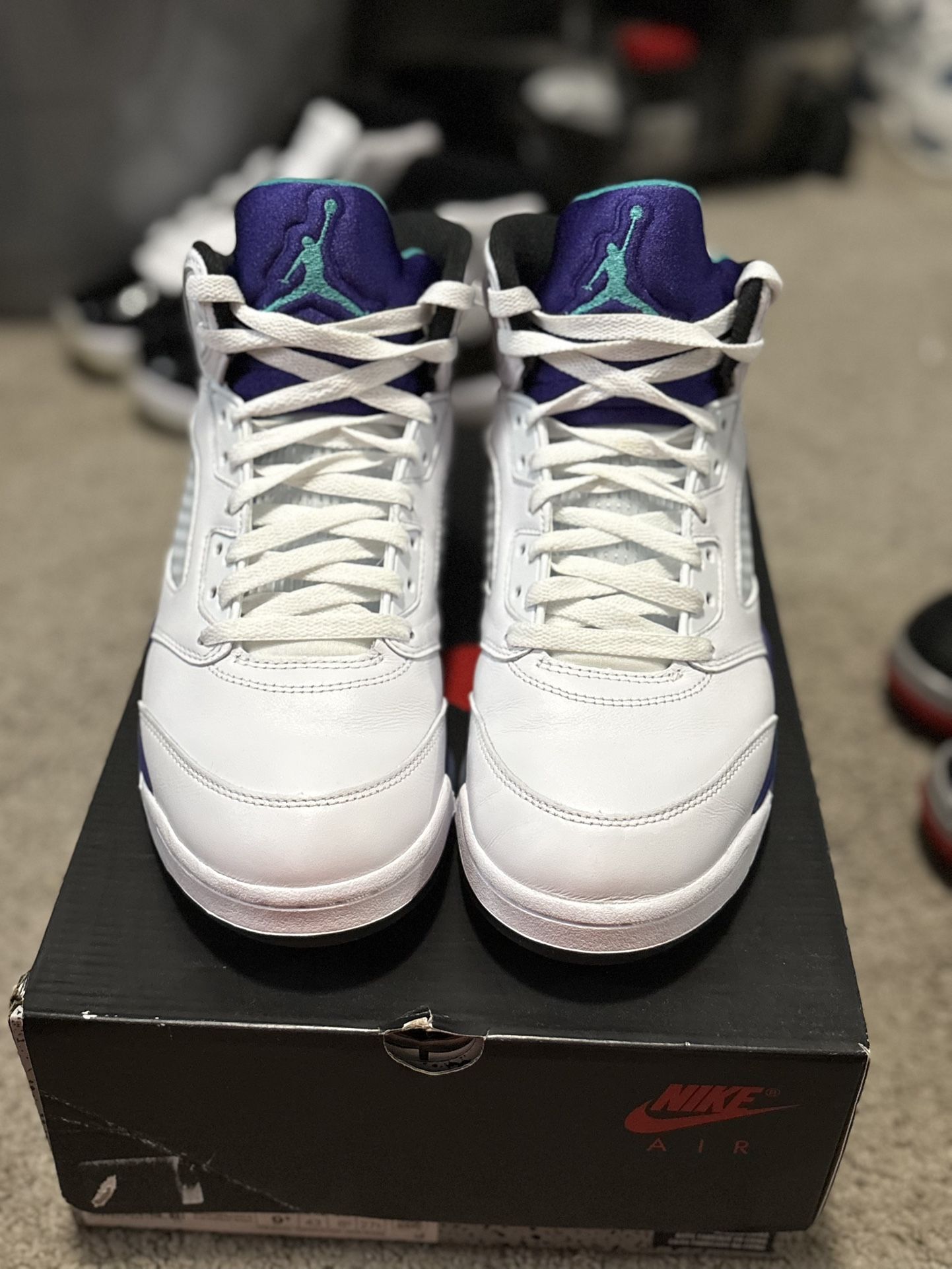 Jordan 5 Grapes