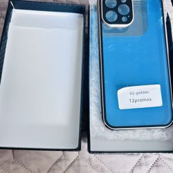 Brand New In Box iPhone 12 Pro Max Case Golden 