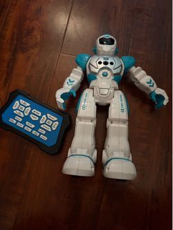 Smart robot