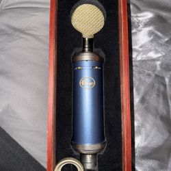 Blue Spark SL Pop Filter Included