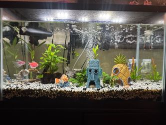 Fish Tank w/ Stand - 29 gallons