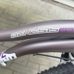 Girls Mountain Bike Genesis Whirlwind 26”