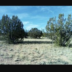1.75 Acre In Seligman Az. Terreno De Venta