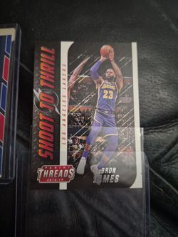 Lebron panini insert