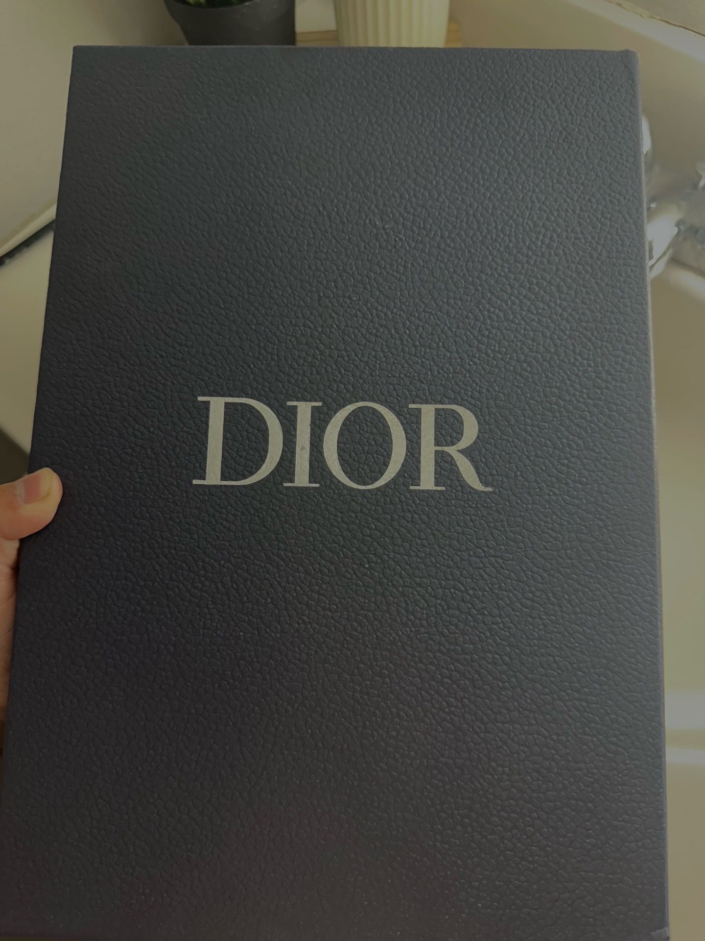 Christian Dior b23 low