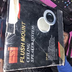 Hush Mount Ceiling Speaker System