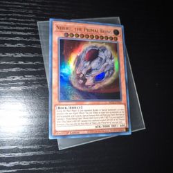 Yu-Gi-Oh Card