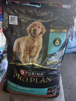 TOP DIGGITY DOG FOOD FOR MUCH LESS!