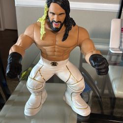 WWE SETH ROLLINS