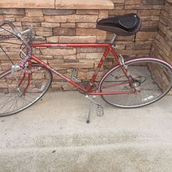 Bike (for Tall Person)