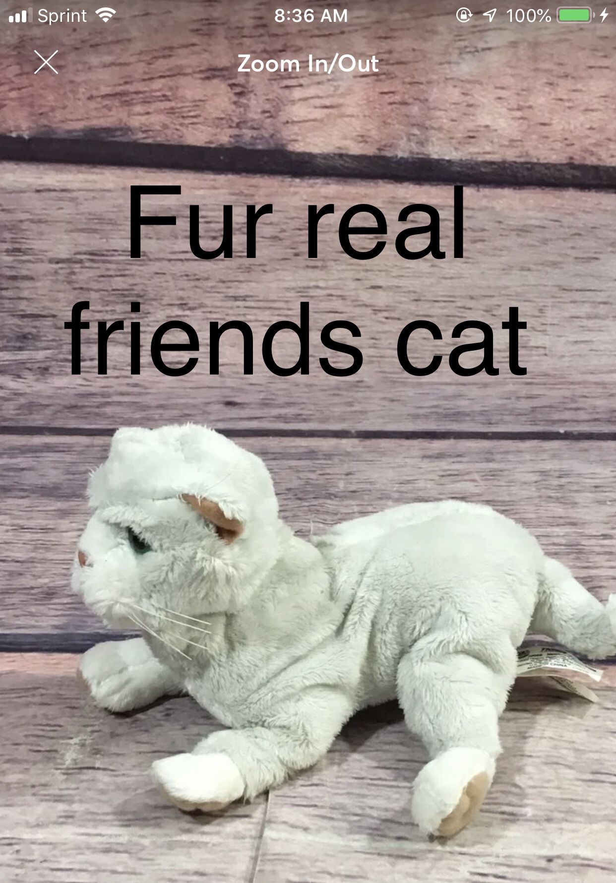 Furreal Friends Cat