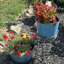 Vintage Planters
