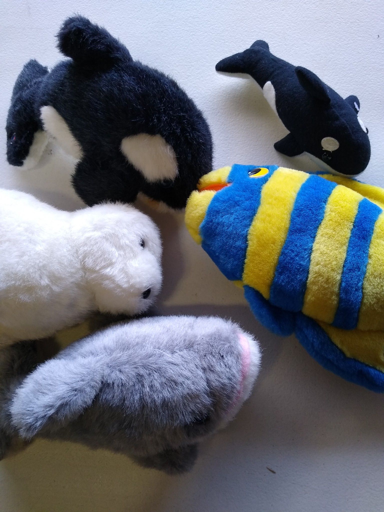 5 sea life plushies