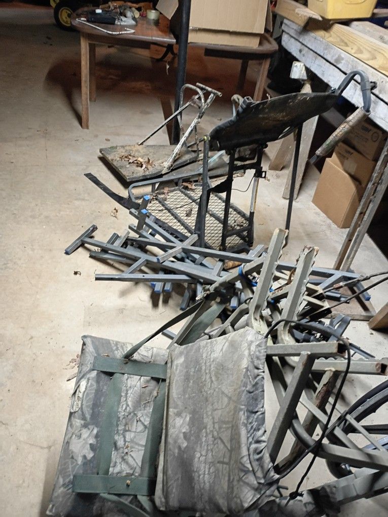 Tree Stands 