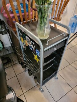 Salon Professional roll about