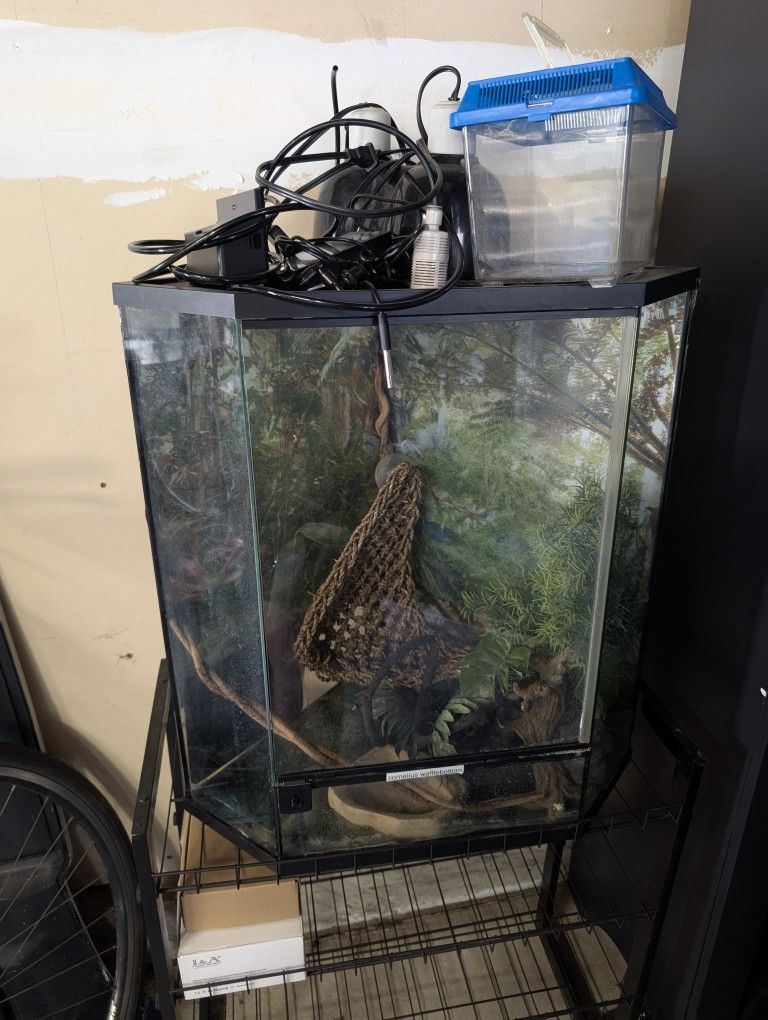 Full Reptile Set Up, Terrarium, Auto Mister, Lights