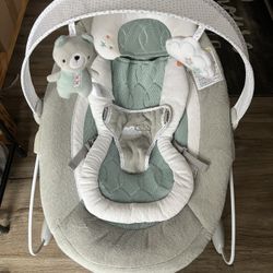 Baby Bouncer 