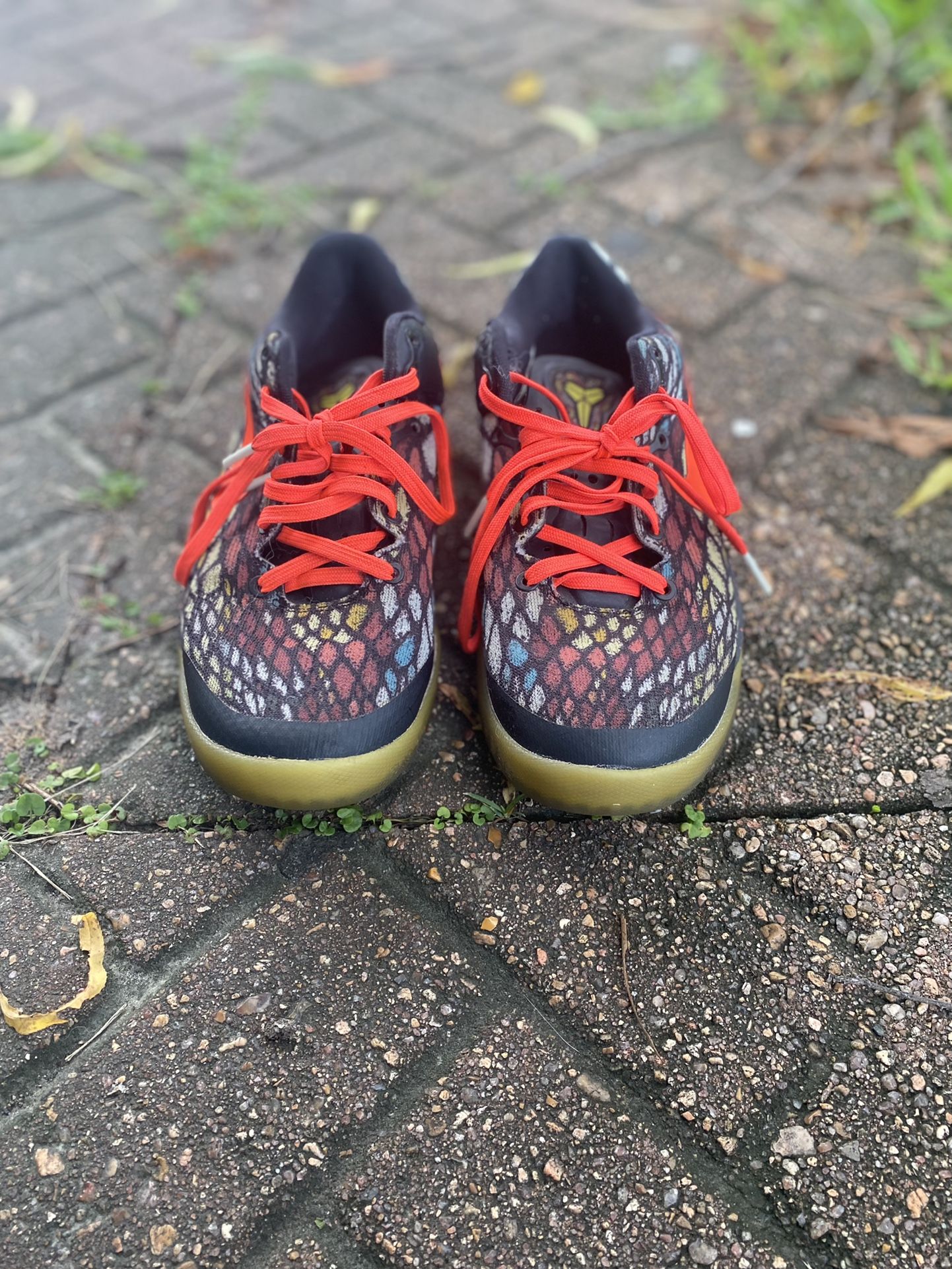 Kobe Christmas 2012 GS