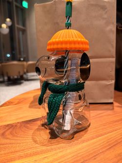 Starbucks Peanuts Snoopy Cold Cup Tumbler