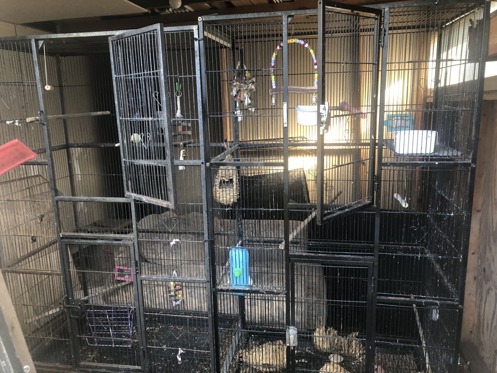 2 bird cages need gone ASAP!