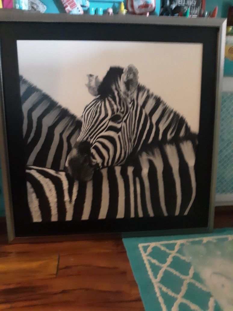 44"×44" Zebra Pic
