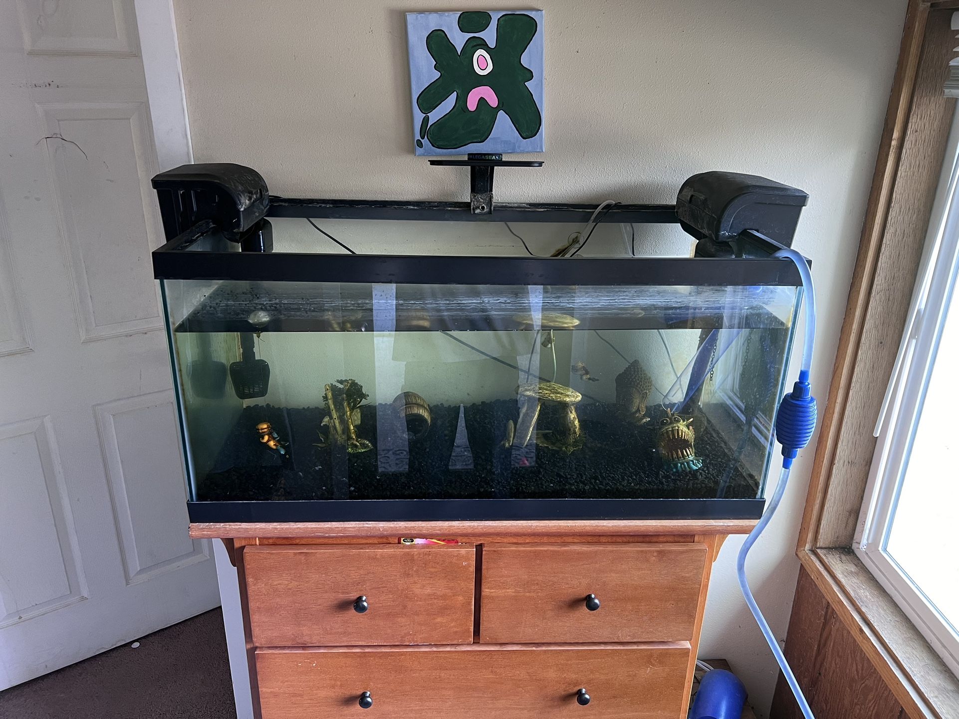 40 Gallon Fish Tank,light,filters