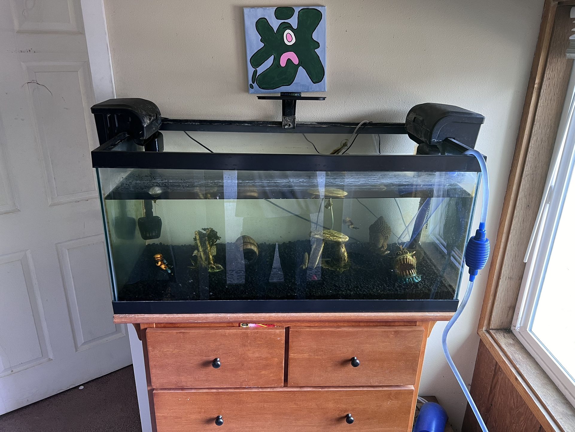 40 Gallon Fish Tank,light,filters 