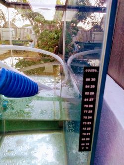 Aquarium Tank