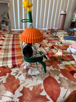 Snoopy Starbucks cup
