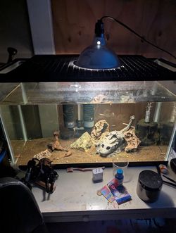30 gal fish tank